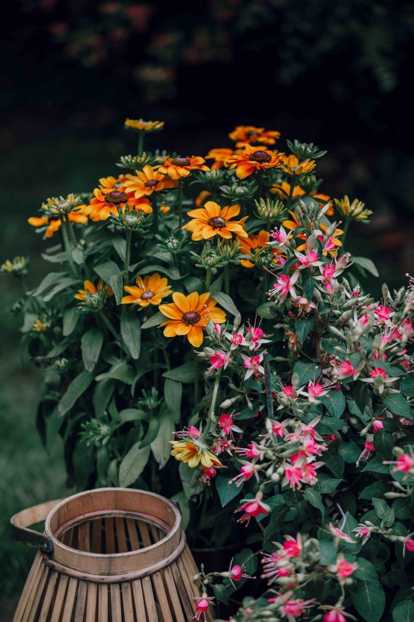 Pepper & Paper 4* Paris