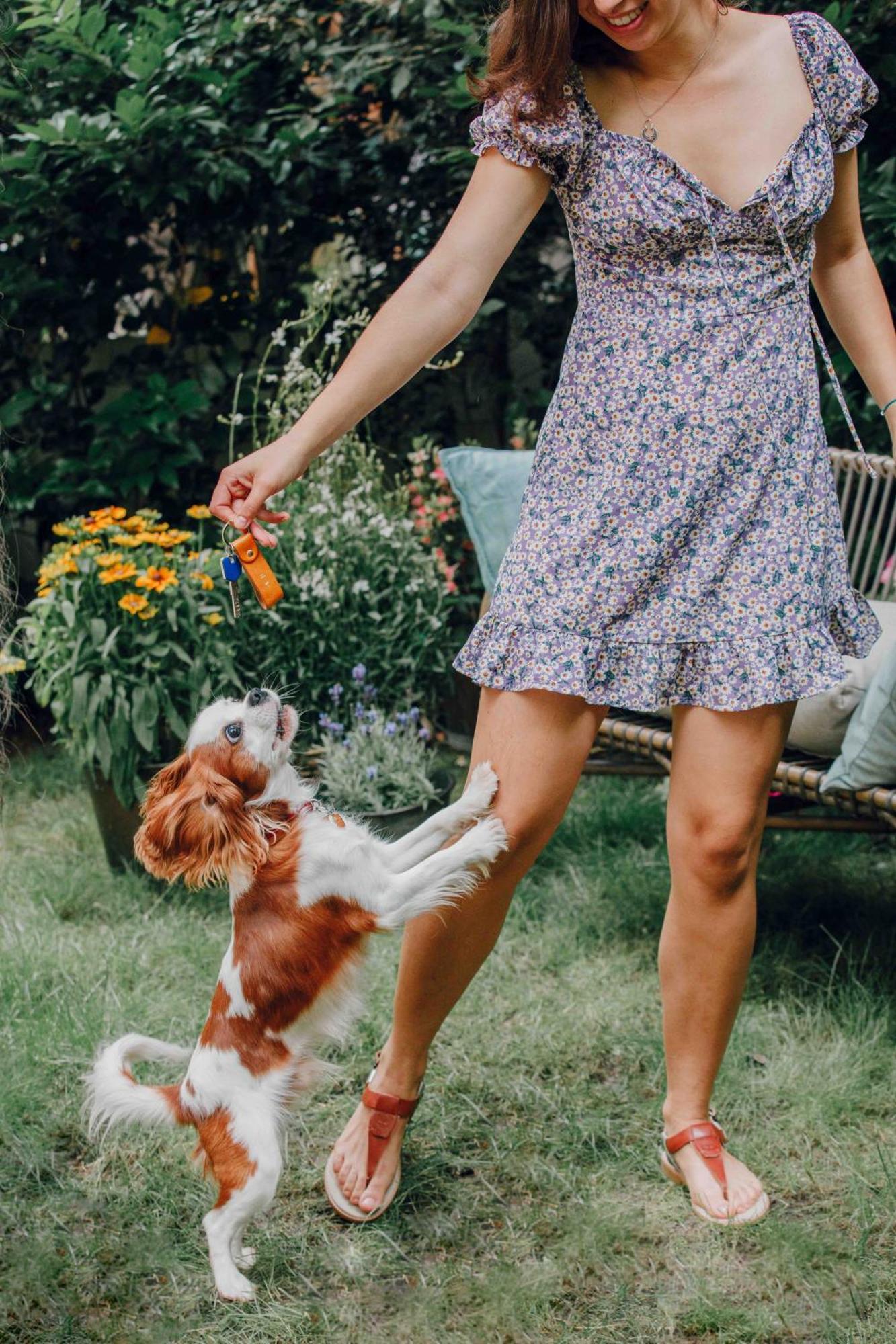 Aparthotel Pepper & Paper 4*